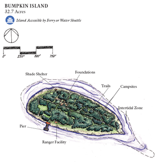 <span class="mw-page-title-main">Bumpkin Island</span> Tidal island in Massachusetts, United States of America