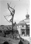 Singes du zoo en 1932.