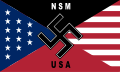 國家社會主義運動 (美國)（英语：National Socialist Movement (United States)）旗幟