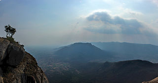 <span class="mw-page-title-main">Javadi Hills</span> Hills in Tamil Nadu, India