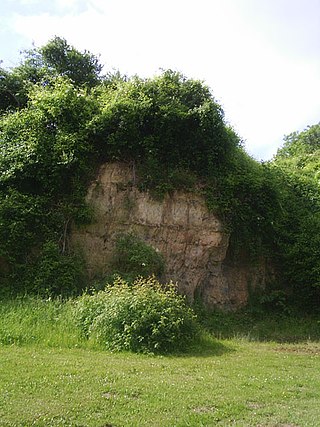 <span class="mw-page-title-main">Maastricht Formation</span> Geological formation in the Netherlands and Belgium