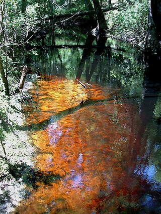 <span class="mw-page-title-main">Blackwater river</span> Slow-moving, dark-colored river flowing through forested swamps or wetlands