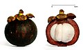 The white arils of the Purple Mangosteen are the only part of the fruit which is edible.