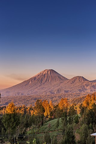 <span class="mw-page-title-main">Semeru</span> Stratovolcano in Indonesia