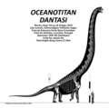 Oceanotitan dantasi