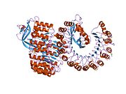 PDB 2bex EBI.jpg