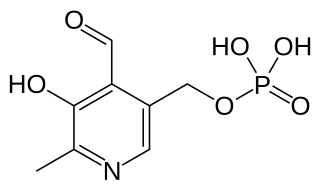 <span class="mw-page-title-main">Pyridoxal phosphate</span> Active form of vitamin B6