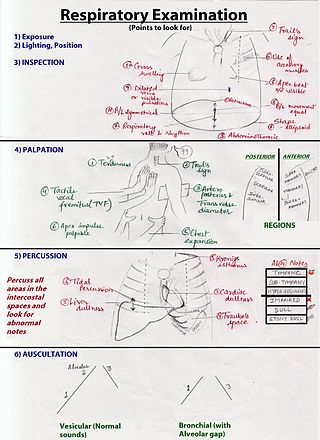 <span class="mw-page-title-main">Respiratory examination</span> Inspection conducted as part of a physical