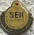 State Enrolled Nurse Badge formerly awarded by the Victorian Nursing Council from 1982 onwards