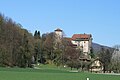 Schenkenberg, Wildenstein Castle