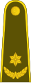 Majoras (Lithuanian Land Force)[51]