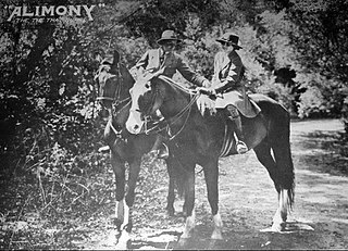 <i>Alimony</i> (1917 film) 1917 American film