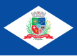 Vlag van Joinville