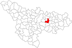 Location in Timiș County