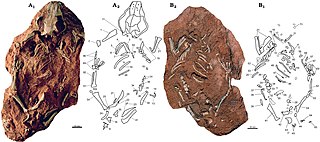 <span class="mw-page-title-main">Multituberculata</span> Extinct order of mammals