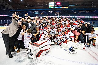 <span class="mw-page-title-main">2019 Calder Cup playoffs</span>