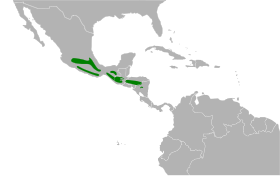 Distribución geográfica del pinchaflor ventricanelo.