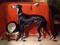 A Favorite Greyhound of Prince Albert, 1841