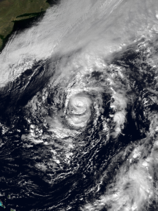 <span class="mw-page-title-main">Hurricane Grace (1991)</span> Category 2 Atlantic hurricane in 1991