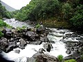 Image 7A rocky stream in Hawaii (from Nature)