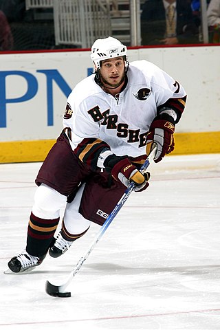 <span class="mw-page-title-main">Jean-François Fortin (ice hockey)</span> Canadian ice hockey player