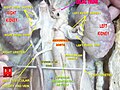 2011年12月12日 (一) 19:32版本的缩略图