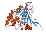 PDB 1u0y EBI.jpg