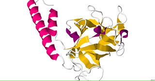 <span class="mw-page-title-main">Inositol trisphosphate receptor</span> Class of transport proteins