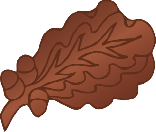 <span class="mw-page-title-main">Oak leaf cluster</span> Award