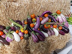 Display of heirloom varieties of eggplants, taken at the Baker Creek 2nd Annual Nat'l Heirloom Exposition in Santa Rosa, Calif., Sept 2012. Photo by Phoebe.