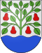 Coat of arms of Egnach