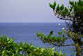 Atlantic thru the trees, Fourth Cliff, Humarock, Scituate, MA. 16:19, 22 September 2007