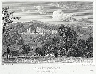 <span class="mw-page-title-main">Llanerchydol</span> Hamlet in Powys, Wales