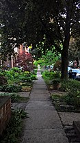 Sidewalk in Buffalo, New York.