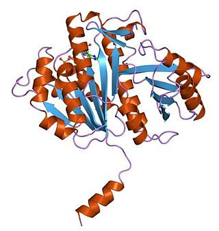 <span class="mw-page-title-main">FtsZ</span> Protein encoded by the ftsZ gene