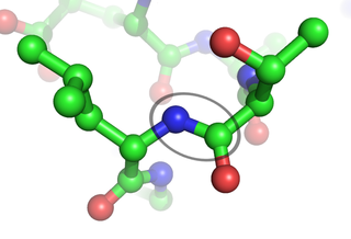 <span class="mw-page-title-main">Peptide bond</span> Covalent chemical bond between amino acids in a peptide or protein chain