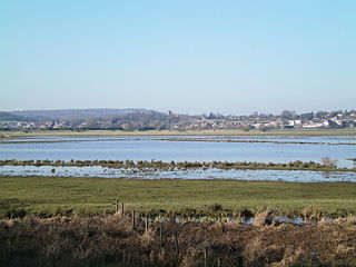 <span class="mw-page-title-main">Pulborough Brooks</span>