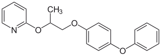 <span class="mw-page-title-main">Pyriproxyfen</span> Chemical compound