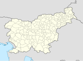 Slovenske Konjice na mapi Slovenije