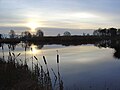 Het Smitsveen in het Dwingelderveld