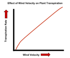 Transpiration WindVelocity Graph.svg