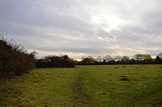 <span class="mw-page-title-main">Upwood Meadows</span>