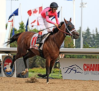 <span class="mw-page-title-main">Wonder Gadot</span> Canadian racehorse