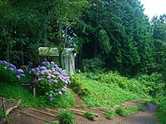 明王峠の紫陽花