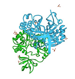 <span class="mw-page-title-main">Aminomethyltransferase</span> Protein-coding gene in the species Homo sapiens