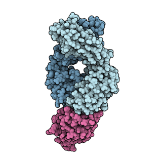 <span class="mw-page-title-main">Atezolizumab</span> Monoclonal anti-PD-L1 antibody