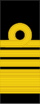 Tunic rank insignia (2010-)