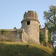 Château de Bidache - donjon - vue du Thys.jpg