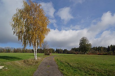 Campagne à Křižánky.