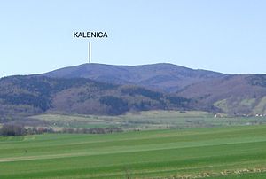 Kalenica